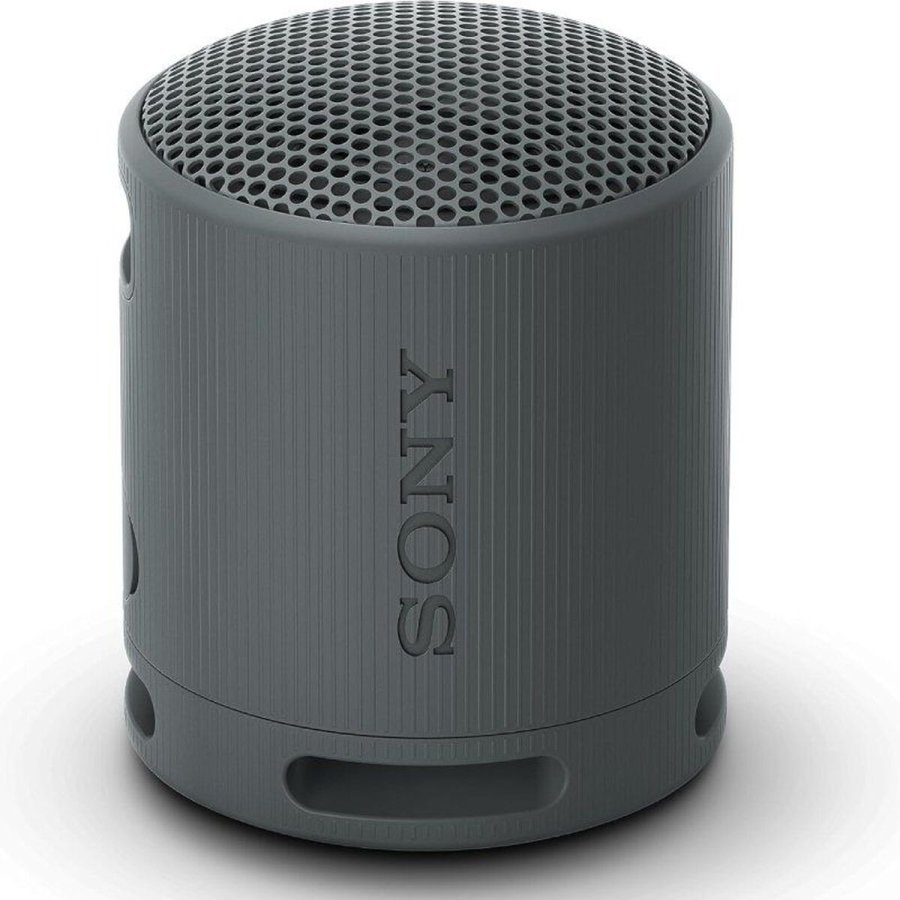 Brbare Bluetooth-hjttalere Sony XB100 Sort #1