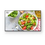 Skrm Sony PRO BRAVIA 75