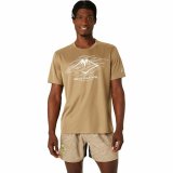 Kortrmet T-shirt til Mnd Asics Fujitrail Logo Ss Top Brun Beige #1