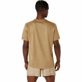 Kortrmet T-shirt til Mnd Asics Fujitrail Logo Ss Top Brun Beige #2