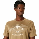 Kortrmet T-shirt til Mnd Asics Fujitrail Logo Ss Top Brun Beige #4