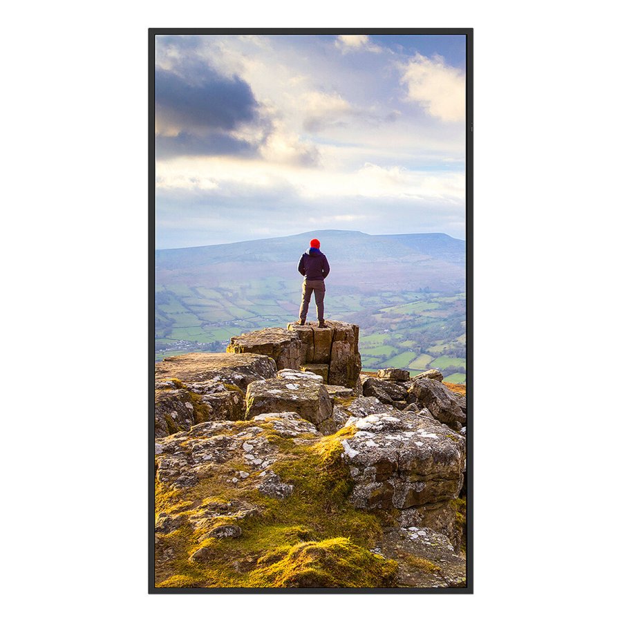 Videovg Monitor Sharp 60006181 4K Ultra HD 43