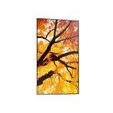 Videovg Monitor Sharp 60006052 Full HD 32