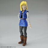 Samlerobjekter Bandai FIGURE RISE DBZ ANDROID 18 #4