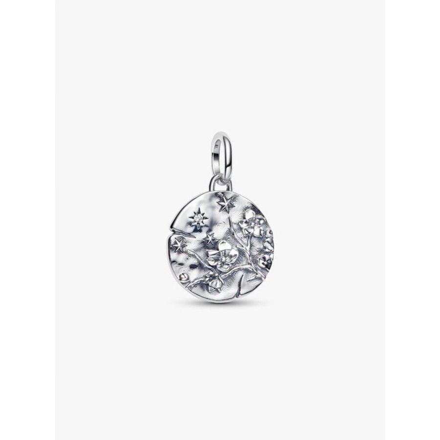 Perler til kvinder Pandora 794085C01 S�lvfarvet #2