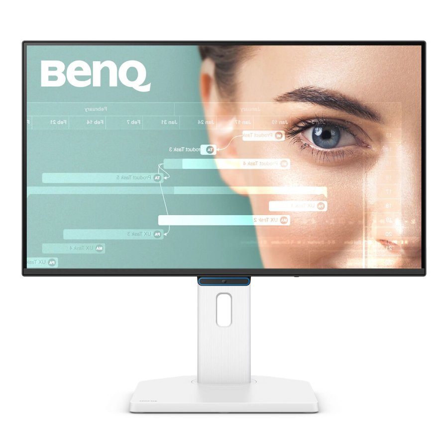 Skrm BenQ GW2490TC 24