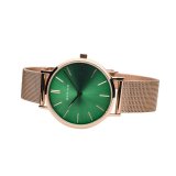 Dameur Bering ( 36 mm) #4