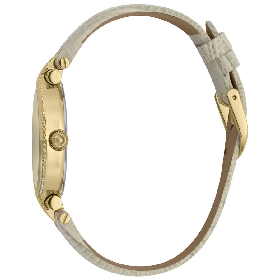 Dameur Just Cavalli JC1L105L0025 ( 34 mm) #3