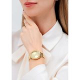 Dameur Just Cavalli JC1L263M0055 #4