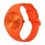 Dameur Ice IW017910 ( 36 mm) #2