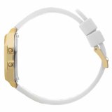 Dameur Ice ( 34 mm) #4