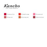 Lbeblyant Colours Kanebo #9