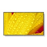 Skrm NEC 60006084 50