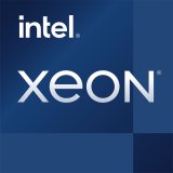 Processor Intel Xeon E-2378G #1