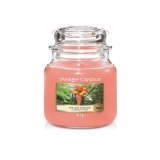 Duftlys Yankee Candle The Last Paradise #3