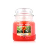 Duftlys Yankee Candle The Last Paradise #2