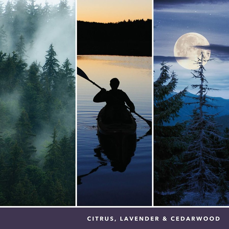 Duftlys Yankee Candle 1629968E #6