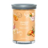 Duftlys Yankee Candle Mango Ice Cream 567 g #1
