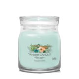 Duftlys Yankee Candle Aloe & Agave 368 g #2