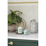 Duftlys Yankee Candle Aloe & Agave 368 g #3