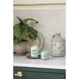 Duftlys Yankee Candle Aloe & Agave 368 g #4