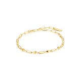 Armbnd til kvinder Ania Haie B025-02G 19 cm #1