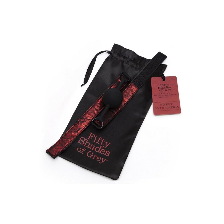 Mund Knebel Fifty Shades of Grey Sweet Anticipation #4