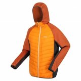 Sport Jakke til Mnd Regatta Andreson VIII Hybrid Orange #4