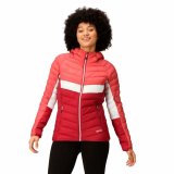 Sportsjakke til damer Regatta Harrock II Rumba Pink #1