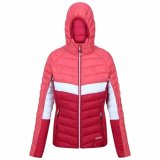 Sportsjakke til damer Regatta Harrock II Rumba Pink #4
