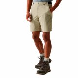 Sport Shorts Regatta TrvlLghtPckawaySh Moutain #3