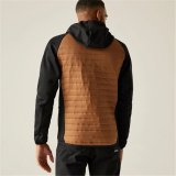 Sport Jakke til M�nd Regatta Andreson Hybrid #5