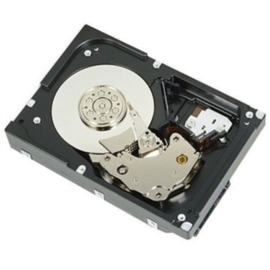 Harddisk Dell 400-AUPW 3,5