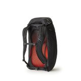 Multifunktionel rygsk Gregory  ARRIO 24 Sort #2