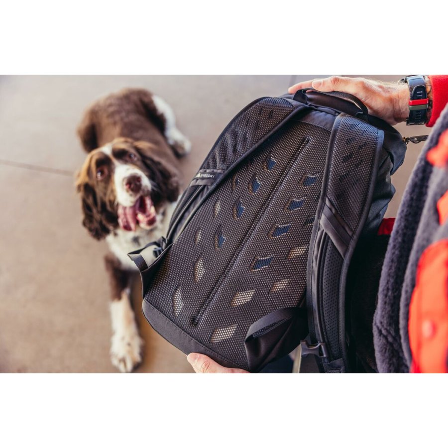 Sportsrygsk Gregory 153056-9974 Sort 16 L #3