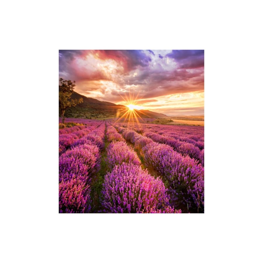 Videovg Monitor Samsung LH025IFHBAS/EN #1