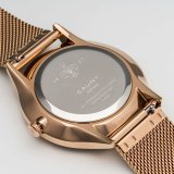 Herreur Cauny CAN007 #4