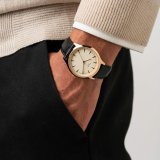 Herreur Cauny CAN011 #5