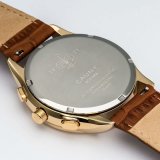 Herreur Cauny CAC001 #4