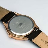 Herreur Cauny CAC006 #3