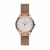 Dameur Cauny CMJ002 #1