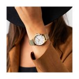 Dameur Cauny CMJ003 #6