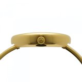 Dameur Cauny CAB005SM #2