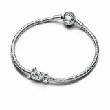 Charm til kvinder Pandora 793055C00 #3