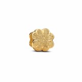 Perler til kvinder Pandora 764047C00 Gylden #1