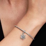 Perler til kvinder Pandora 794142C01 Slvfarvet #4