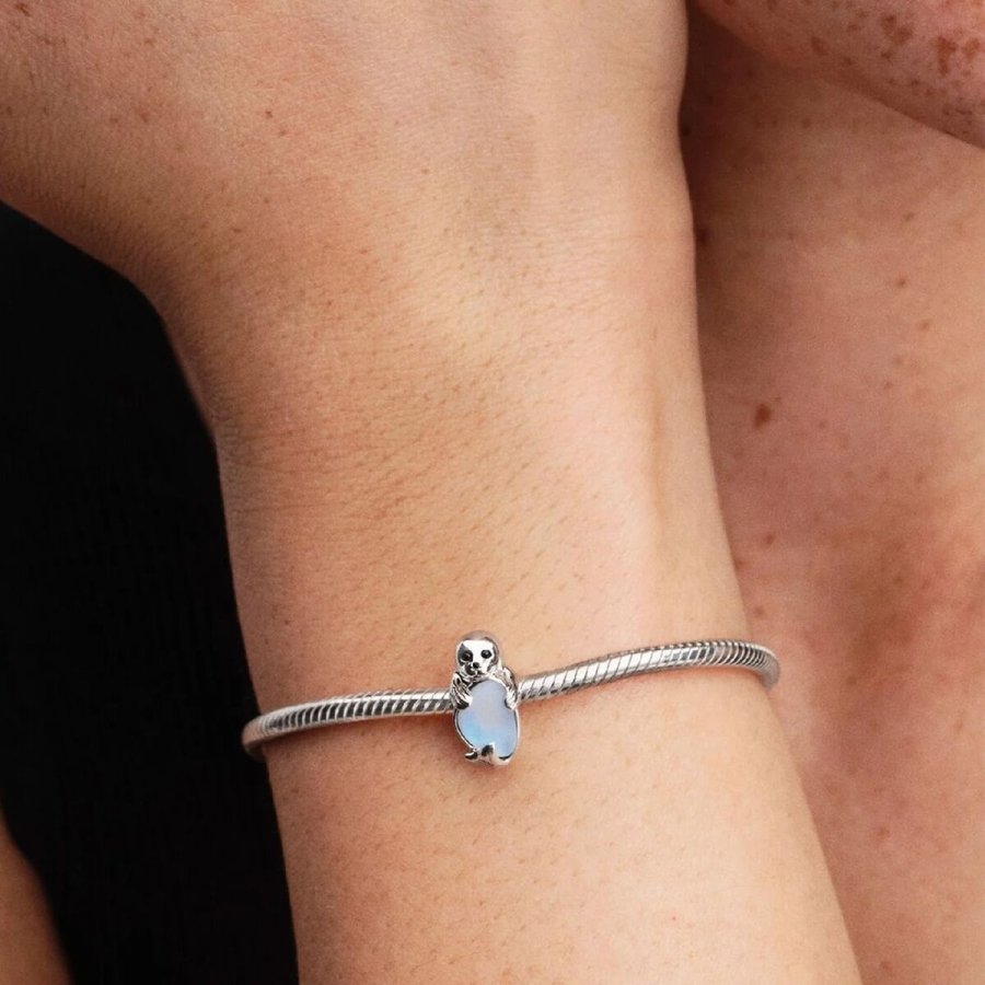 Perler til kvinder Pandora 794146C01 Slvfarvet #4