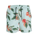 Badetj til Mnd Jack & Jones BAHAMA LY 12227726 Grn #1