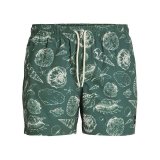 Badetj til Mnd Jack & Jones JPSTMAUI JJSWIM MATURE Grn #1