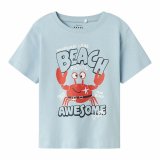 Brne Kortrmet T-shirt Name It Nmmvagno Loose Himmelbl #1